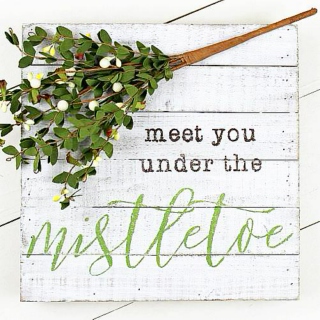 Meet You Under the Mistletoe