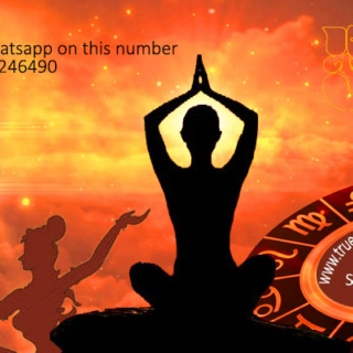 World famous best astrologer in India