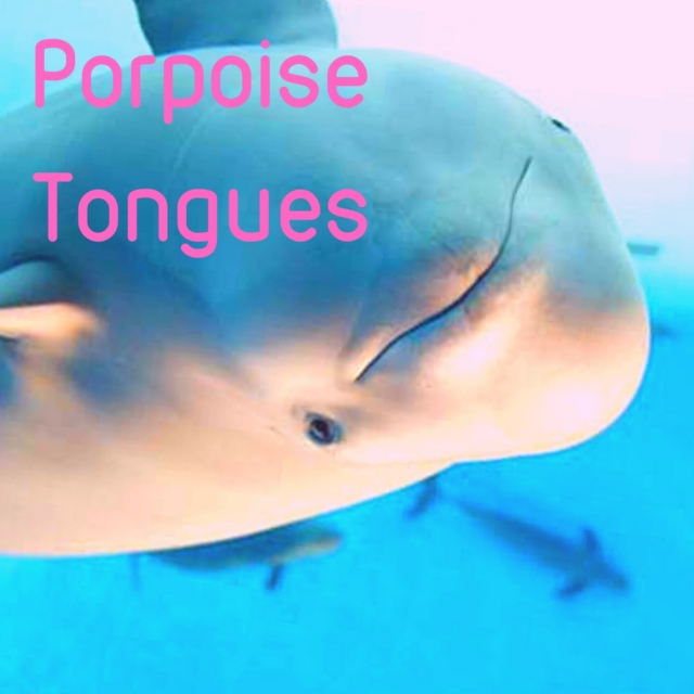 Porpoise Tongues