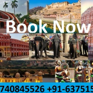 Jaipur Pink City Sightseeing one Day Tour at Cheapest Price