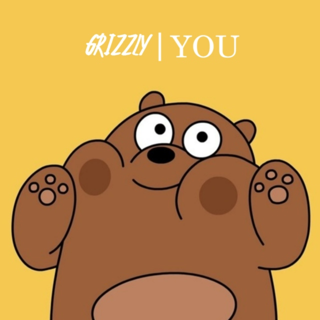 Grizzly - YOU