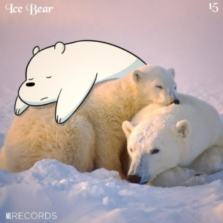 Ice Bear - 15