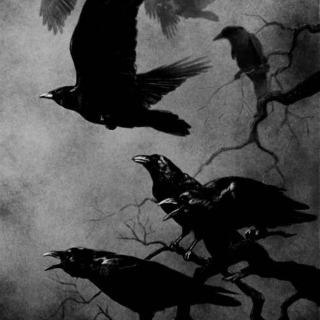 Those Crows of Ketterdam