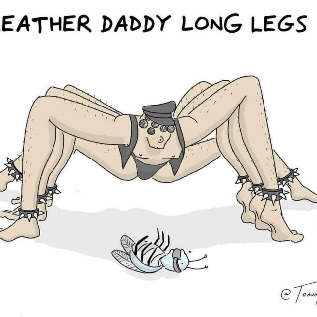 Leather Daddy Long Legs