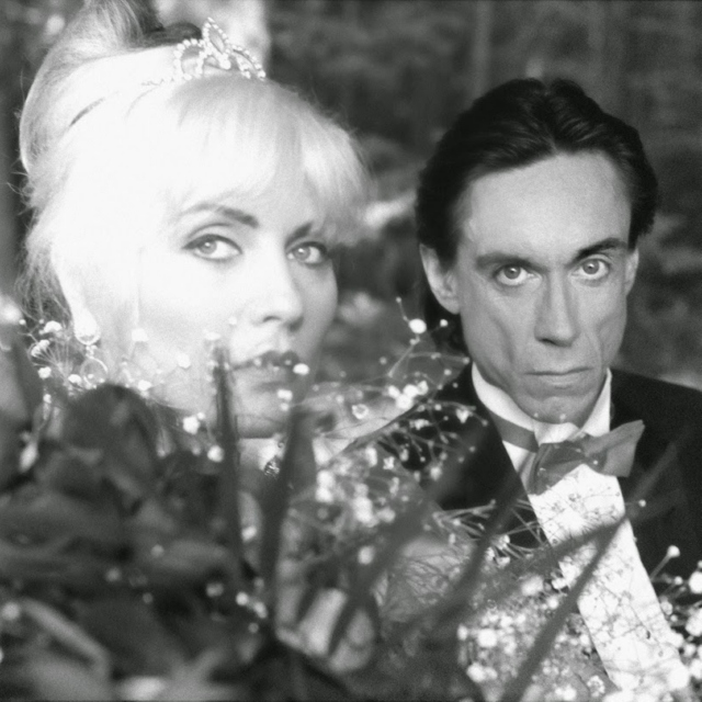 I had a dream I met Debbie Harry and in the dream I was Iggy Pop