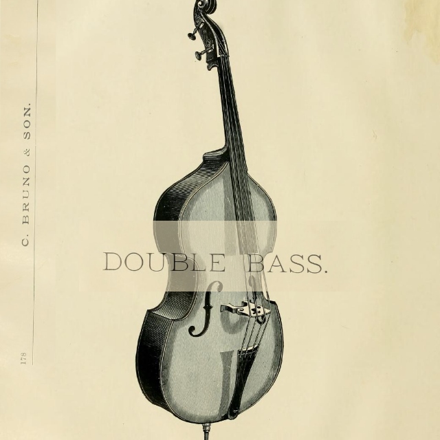 Romantic Double Bass