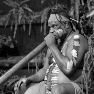 Didgeridoo Vibes