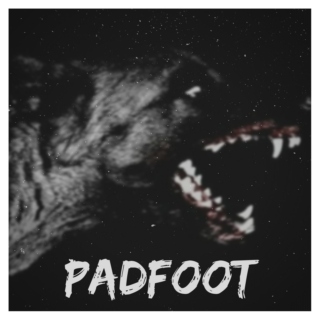 padfoot