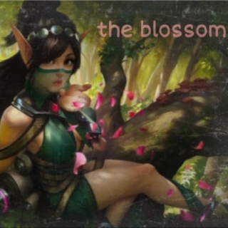 the blossom