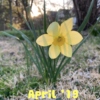 April '19