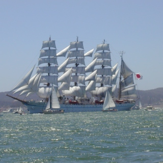 *Seventy-three men sailed up from the San Francisco Bay