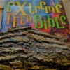 Extreme Teen Bible
