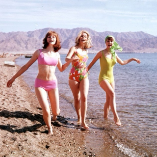 1960s Summer