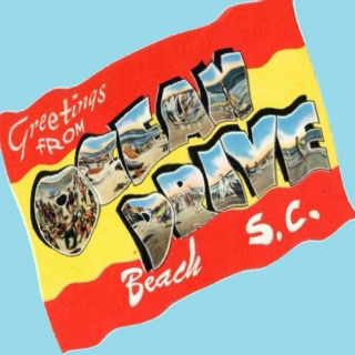 Super Carolina Beach Party #11