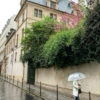 summer rain in paris