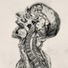 The anatomist's recharge - the medical study playlist