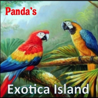 Panda's Exotica Island
