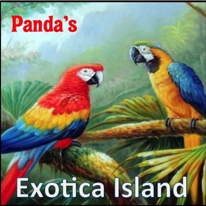 Panda's Exotica Island