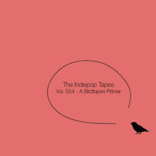The Indiepop Tapes, Vol. 554: A Birdtapes Primer