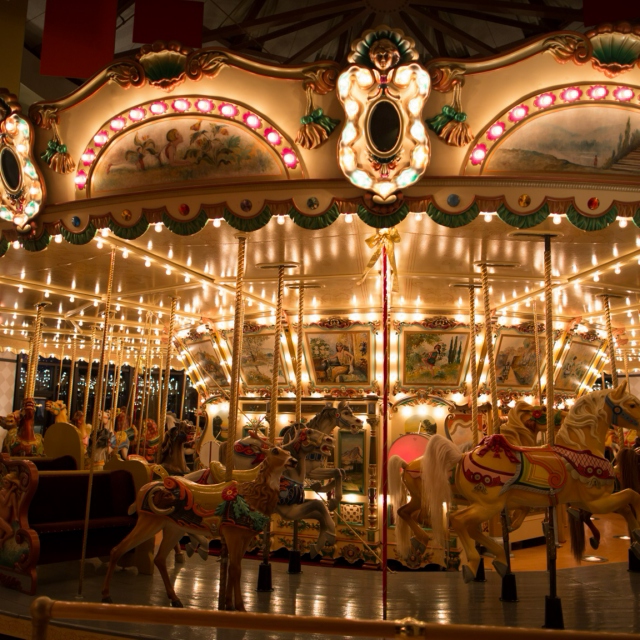 Slow Carousels at Night