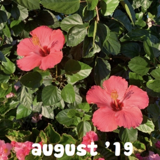august '19