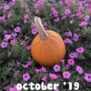 October '19