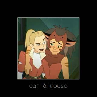 cat & mouse 