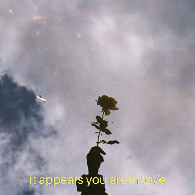 it appears you are in love