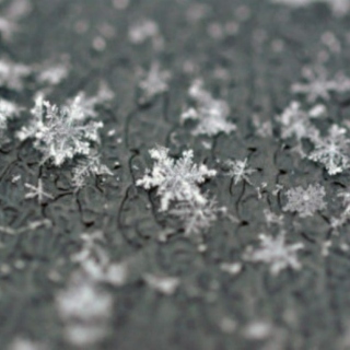 And the snow lay 'round {a wintry mix}