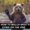 How to Mulch What's Dying on the Vine
