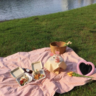 having picnic on a sunny day