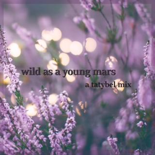 wild as a young mars