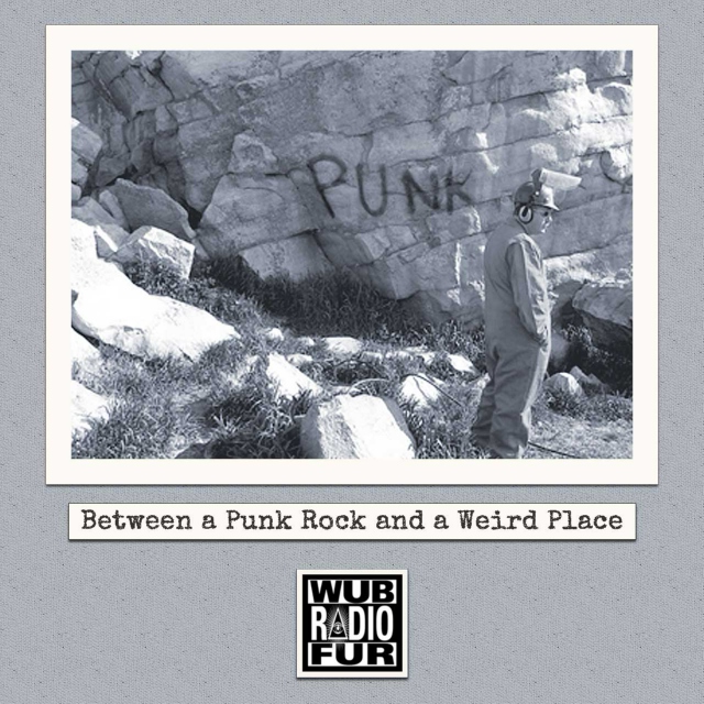 Between a Punk Rock and a Weird Place
