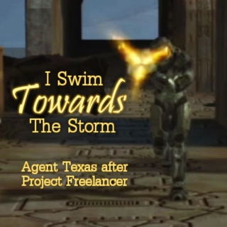 I Swim Towards The Storm