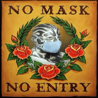 No Mask, No Entry