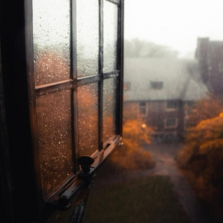 Rainy Autumn Days☂