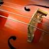 Ahhhhhhhhhh, the Majestic Cello