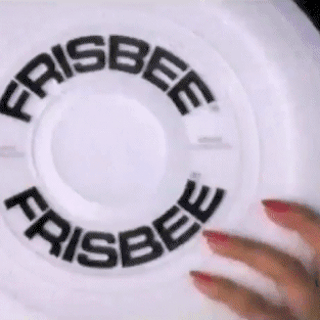 Let's Play Frisbee!