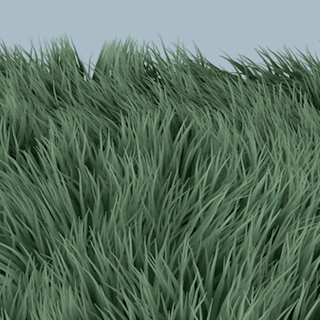 Wind Through The Grass