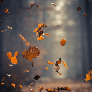 The Smell Of Fallen Leaves
